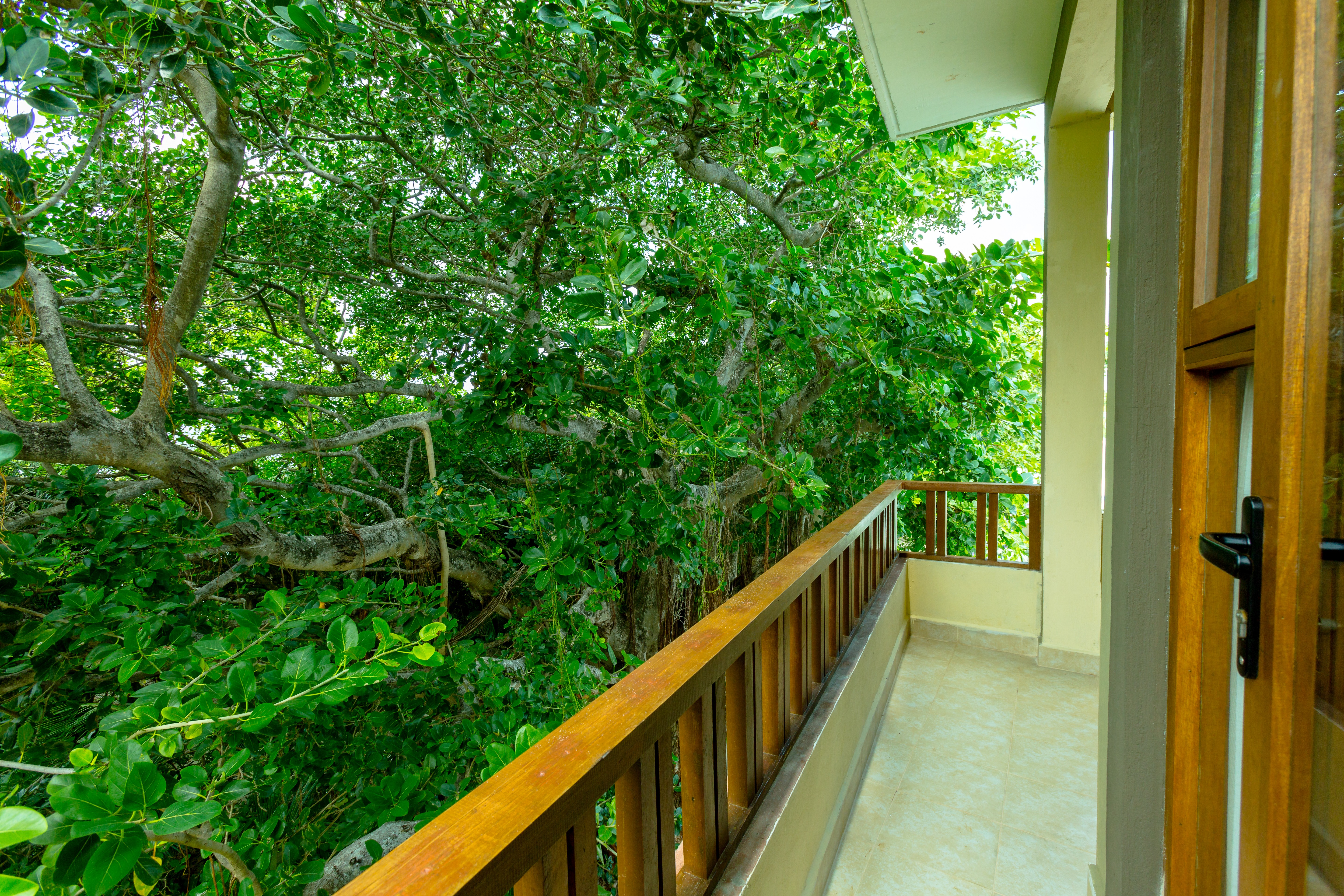 Grand Ocean View Suite - Image 5